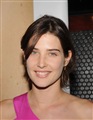 Cobie Smulders