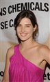 Cobie Smulders