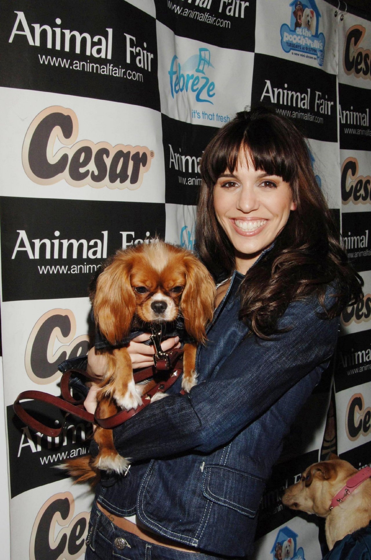 Christy Carlson Romano wallpapers Christy Carlson Romano